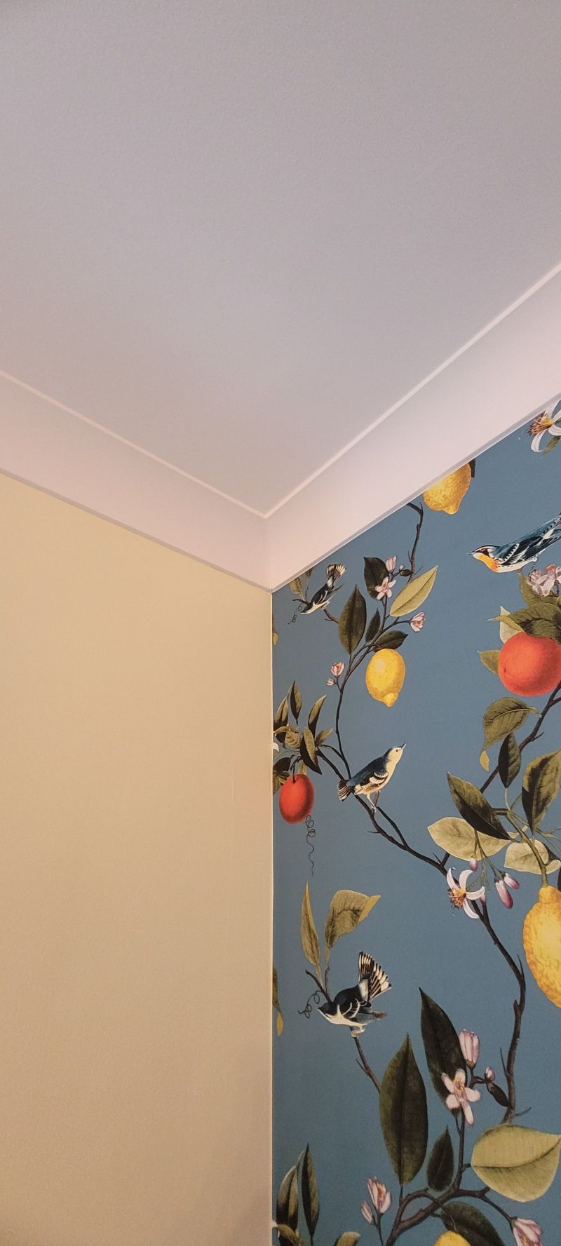 Recent Wallpaper/Painting : Swipe To View More Images